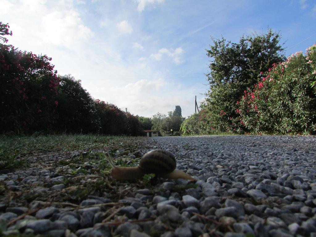 Willa Azienda Agrituristica Allumiere Campiglia Marittima Zewnętrze zdjęcie