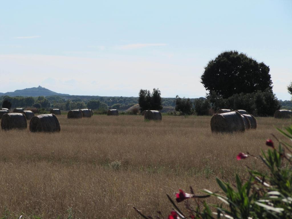 Willa Azienda Agrituristica Allumiere Campiglia Marittima Zewnętrze zdjęcie