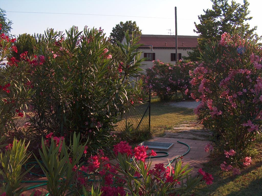Willa Azienda Agrituristica Allumiere Campiglia Marittima Zewnętrze zdjęcie