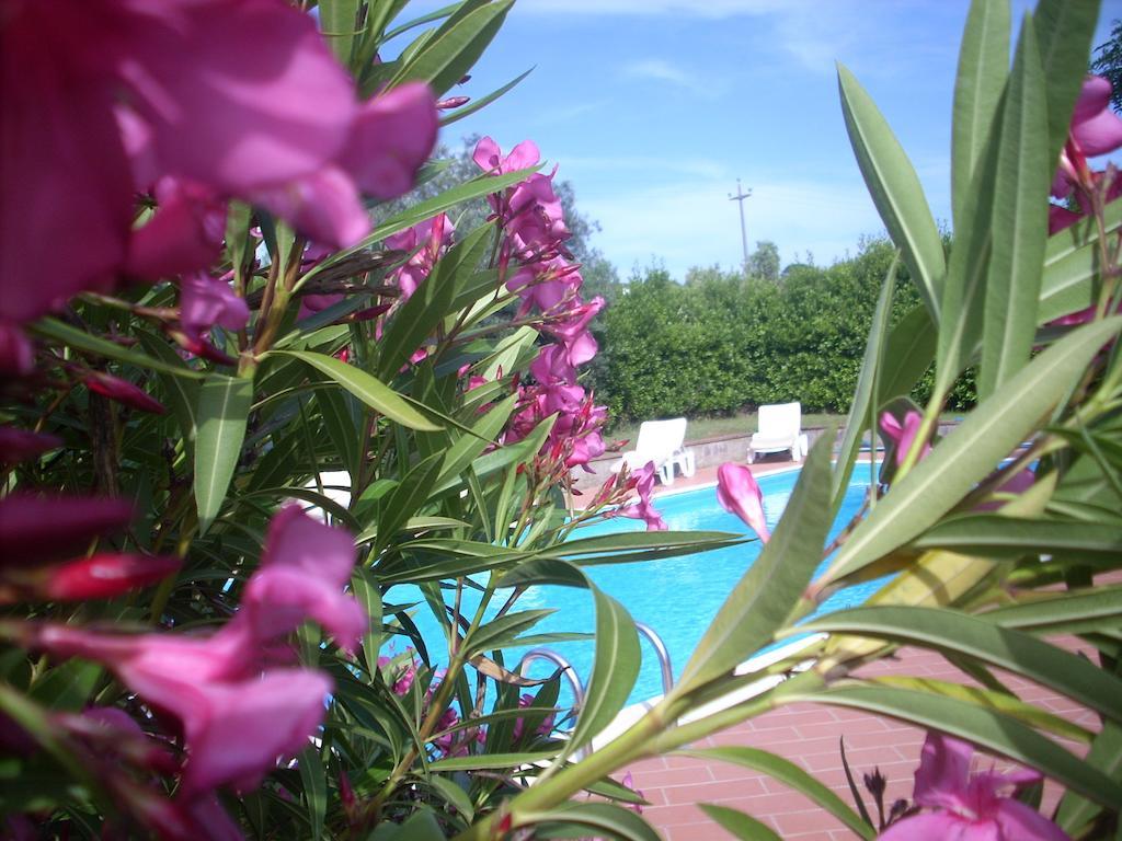 Willa Azienda Agrituristica Allumiere Campiglia Marittima Zewnętrze zdjęcie